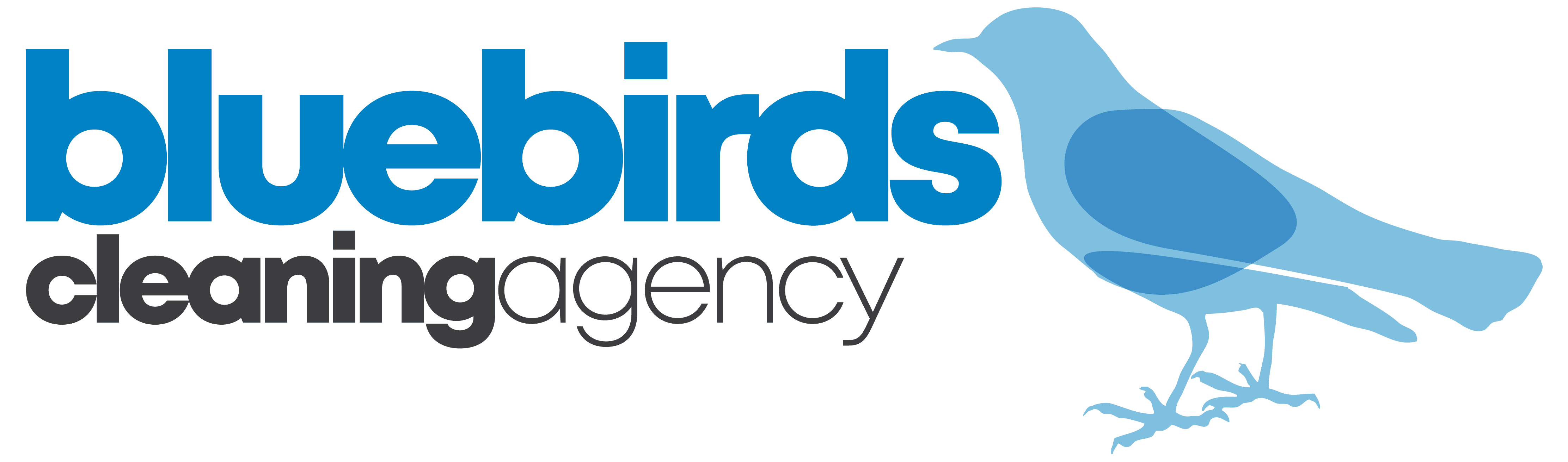Blue Birds